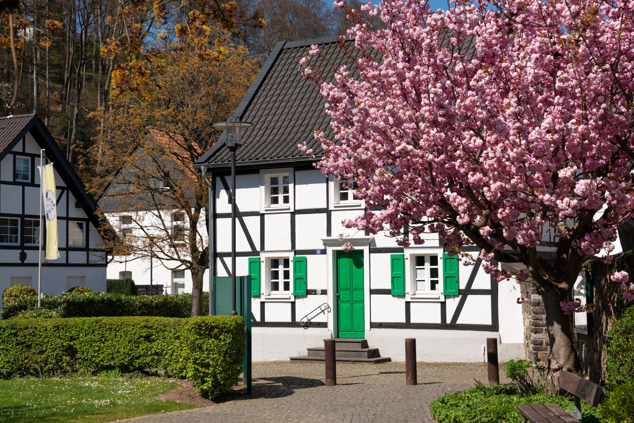 Center of village Odenthal with old buildings and blossoming trees at springtime, Germany